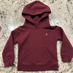 *GENTLY WORN* babyGAP 4T VintageSoft Relaxed Hoodie